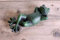 Gwenys Haus Gartenfigur Frosch liegend