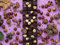 1000 Piece Jigsaw Puzzle for Adults-Relax Puzzles Games-Chocolate,bar,chocolate,delicious 70x50cm