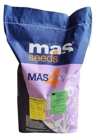 Semi Fiori per Api - Miscuglio Mellifero ECOSCHEMA5 – 14 Specie, 5 Famiglie Botaniche – Semi per Api e Insetti Impollinatori – Fioritura Scalare – 1 kg - Semi per Apicoltura
