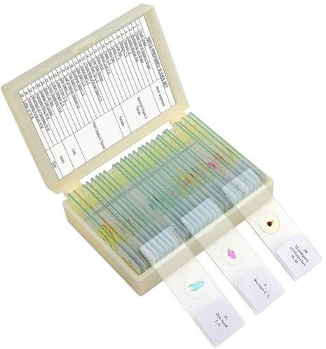 ISTOVO Children'S Microscope Slides, Glass Prep Slides for Microscope Accessories Suitable for All Types of Microscopes