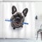 ABAKUHAUS Bouledogue Rideau de Douche, Drôle de Chien avec Brosse à Dents, Tissu Ensemble de Décor de Salle de Bain avec Crochets, 175 cm x 200 cm, Bleu foncé Gris et Blanc