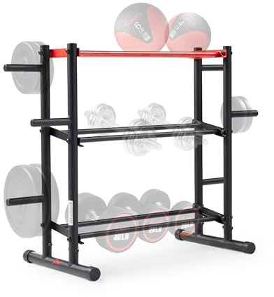 Sunny Health & Fitness Home Gym Weight Storage Rack Stand Organizer | Home Gym Storage, High Capacity Design, Plate Storage, Barbell Posts, Dumbbell Rack, Kettlebell Shelf, Organized Setup