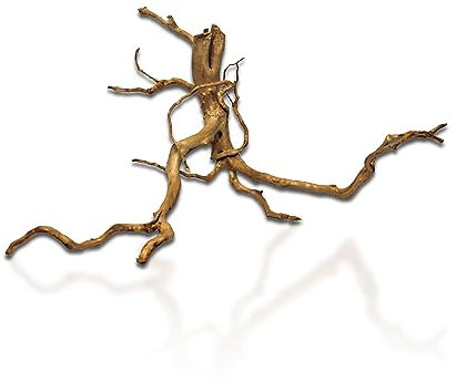 Aqua One Azalea Wood and Root Aquarium Decorations-Root 50-60cm