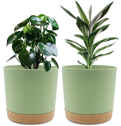 QCQHDU Lot de 2 Pots de Plantes 20.3cm, Pots pour Plantes d'intérieur avec Trous de Drainage et Base Amovible, Soucoupe décorative Moderne pour jardinières d'extérieur (Vert 20.3cm)