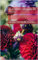 Planting Dahlias in Pots (Growing Potted Flowers)