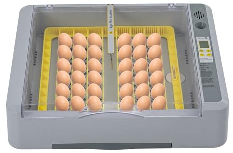 Brutmaschine Vollautomatisch, Automatischer Inkubator, digitale Geflügelbrutmaschine, Inkubator Hühner für Enteneier, Gänseeier, Wachteleier, Papageieneier und Pfaueneier