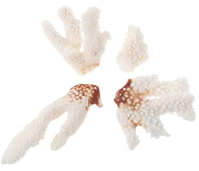 TOYZFRIENDY Echter Korallenast Aquarium Dekoration 200g Naturkoralle Riffgestaltung Unterwasser Deko Aquarien Ornament