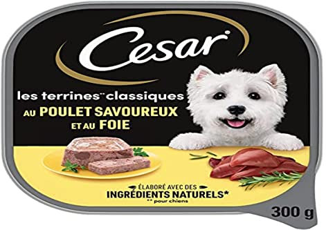 CESAR Hundefutter – 20 Schalen à 300 g – Nassfutter für Hunde, Klassische Terrine mit schmackhaftem Huhn und Leber – Nassfutter für Hunde