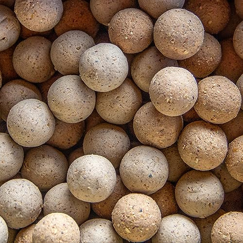 SBS Baits 10kg Eurobase Boilies 24 mm Garlic Knoblauch Futter Karpfen Köder Angeln