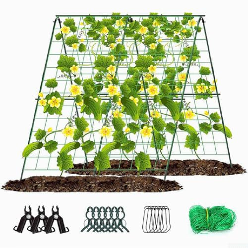HEBEOT Gartengurken-Rankhilfe für Pflanzen, Klettergerüst, kunststoffbeschichtetes Stahlrohr für Gurken, Tomaten, grüne Bohnen, Zuckererbsen, 121,9 x 121,9 cm