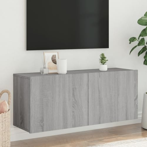 HaoChrymec TV-Wandschrank aus Holz, mit Wandmontage, TV Lowboard Hängend, TV Schrank, für Wohnzimmer, Grau Sonoma, 100 x 30 x 41 cm