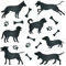 Hunde-Schablone, 21,6 x 21,6 cm (L) – Tierfreunde, Tiere, Hunde-Silhouette, Schablonen für Malvorlage