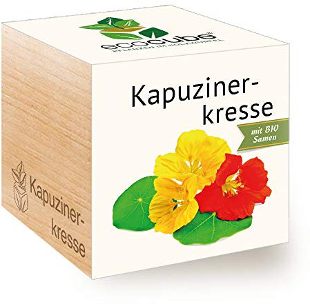 Feel Green Ecocube Kapuzinerkresse, Bio Zertifiziert, Nachhaltige Geschenkidee (100% Eco Friendly), Grow Your Own/Anzuchtset, Pflanzen Im Holzwürfel, Made in Austria