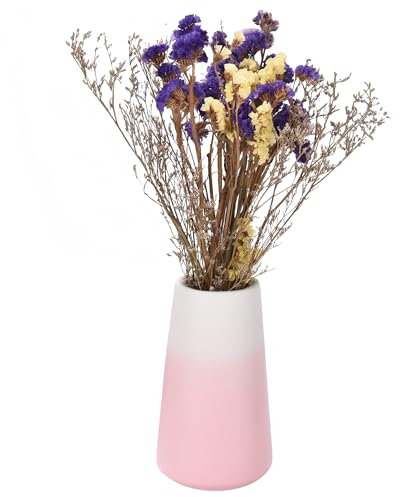 Whole Housewares Keramik-Blumenvase, 15,2 x 7,6 x 7,6 cm, minimalistischer Stil, Moderne Vase für Pampas oder Tulpen, ästhetische Vase für Wohnzimmer, Tafelaufsätze, Schlafzimmer, Küche oder