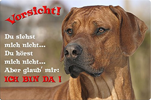 Nanyuk +++ Rhodesian Ridgeback - Metall Warnschild Schild Hundeschild Sign - RRB 35 T2