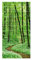 Apalis Fliesenaufkleber Romantischer Waldweg Fliesengröße 15 x 15cm, Größe 120 x 60cm