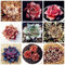 Bloom Green Co. 300 PC Sempervivum Bonsai deutsche Importe von Topfpflanzen Sukkulenten Bonsai Radiation fleischigen Pflanze Lila Dach-Hauswurz: gemischt
