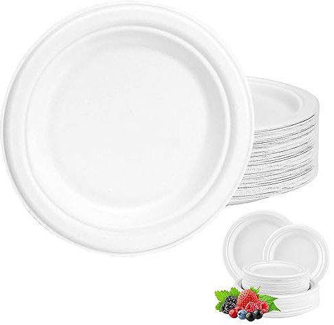 100Pack Disposable Paper Plate Heavy Duty Paper Plates 10 inch,Extra Strength White Disposable Paper Plate for hot food Super Rigid Strong Plates Bagasse Plates 25.4cm for Christmas,Birthday,Picnic