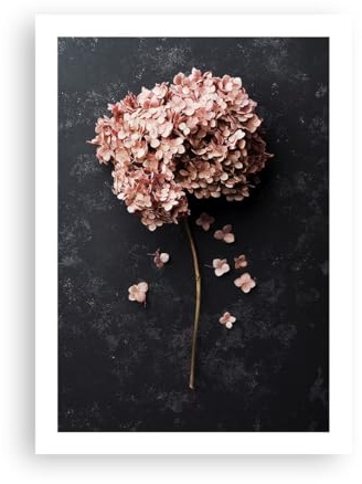 ARTTOR Poster Wandbild Kunstdruck 50x70cm Botanik Blumen - 5244 - P2X | Blume Hortensie Natur Vertikal ohne Rahmen Wohnzimmer Schlafzimmer Küche Büro Wanddeko Kunstposter ARTTOR