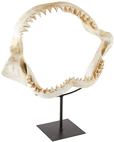 Design Toscano Die gezackten Zähne des Hais, Statue