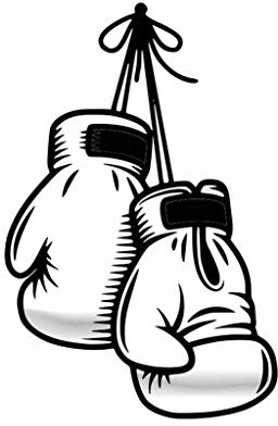 Set of 5 X Boxing Gloves Iron on Screen Print Patch Applique Unique Animal Motif Transfer (White)