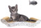 DOBLE HACHE - Rascador Cartón Arañazos para Gatos con Hierba Gatera 42,5 x 19 x 7,5 cm + Regalo