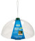 Gardman A01158 Squirrel Baffle Bird Feeding Station, Clear, 12.5 x 14.5 x 4 cm