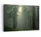 Wandbilder Dekoration Wohnzimmer Wald Nebel Baum Bilder auf Leinwand 120x80cm Leinwandbild mit Rahmen Schlafzimmer Küche Deko Wand Kunstdruck Art Groß XXL Wanddeko Bild Wall Decor Canvas AA120x80-3543