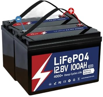 8000 Cycle 12V 24V Lifepo4 Battery Packs 12v 24v 100Ah 200Ah BMS Solar Lithium Ion Batteries with Heating and Bluetooth