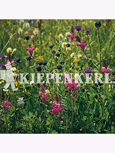 Blumenwiesen-Mischung nach L?BF Kleve-Kellen 1kg