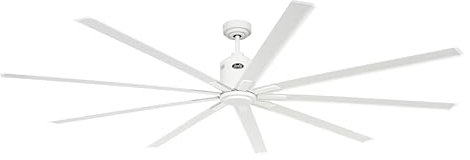 Unbekannt CasaFan Deckenventilator Big Smooth Eco Ventilator