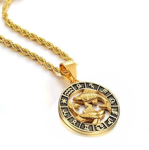 JEDTAKCT Psc 12 Constellations Pendant Necklaces For Men Women - Hollow Disc Star Signs Vintage Rope Chain Zodiac Signs Jewelry, Horoscope Celestial Astrology Jewellery,Pisces,45Cm