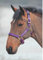 Shires 387 Topaz Nylonhalfter Cob, Lila