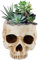 Yundxi Menschlichen Schädel Figur Blumentopf Pflanztopf Schädel Kopf Totenkopf Modell Übertopf Topf Blumen Pflanzen Dekoration (Beige)