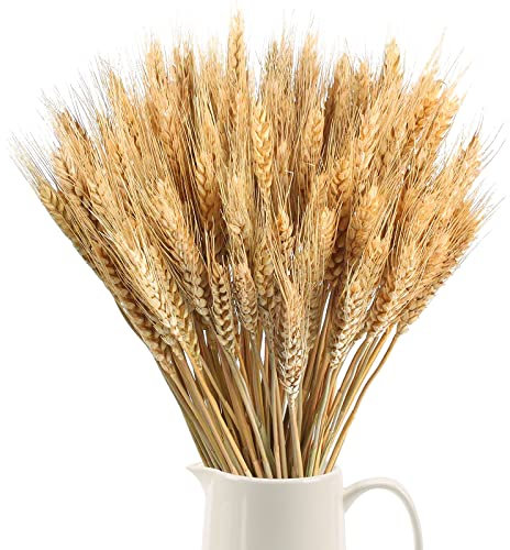 SLFYEE 100pcs Getrocknete Blumen Weizen Natürliche Trockenblumen Deko Getrocknete Weizen Blumen für Hochzeit Mittelstücke Zuhause Balkon Party Tisch Vase Weihnachten Deko 40cm
