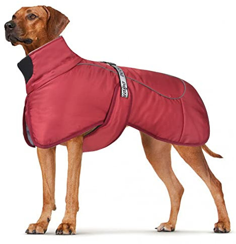 DoggieKit Hundemäntel Wasserdicht Winddicht Warm Winter Sicher mit Gewinde Reflektierende Streifen Jacke für Mittelgroße Große Hunde mit Geschirrloch für Welpen Haustiere Kaltes Wetter Kleidung Weste