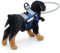 Blindes Hundegeschirr, Blind Pet Anti-Kollisionsring Blindenhund Geschirr Orientierungshilfe Verstellbarer mit reflektierender Wirkung für Blinde (S Durchmesser 22 cm (für 4–10