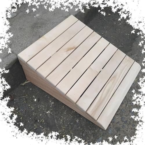 Rollstuhlrampen mit massivem Holz, 3 4 5 6 Aufstieg, Eingangsrampe der Haustür, Übergangsrampen für Garage, Veranda, Terrasse, Schuppenschwelle Rampe, leicht zu setzen