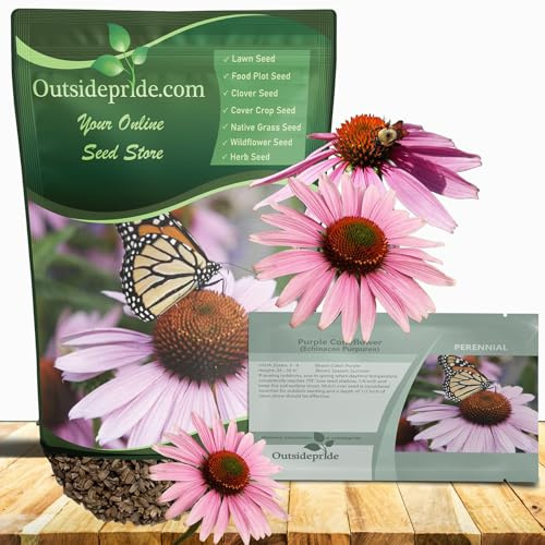 Outsidepride Purple Echinacea Coneflower Seeds - 1000 Pcs Perennial, Deer-Proof & Drought Tolerant Flower Seeds with Daisy-Like Blooms for Pollinator-Friendly Gardens, Borders, & Meadows