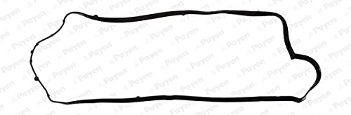 Payen JM7053 Dichtung, Zylinderkopfhaube | Kompatibel mit: DACIA LOGAN, LOGAN II, LOGAN MCV II, SANDERO, SANDERO II, RENAULT CLIO II, CLIO III, CLIO III Grandtour