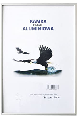 Q-Connect Bilderrahmen Fotorahme Aluminiumrahmen / 70 x 100 cm/Silber/mit einer Transparenten Kunststoffscheibe/Moderner/für Informationsrahmen Puzzlerahmen/Abgeschraubte Ecken