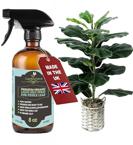 GARDENNOVA Professional Organic Liquid Kelp Spray for Fiddle Leaf FIG Plants - 8 oz - Ready-to-Use Fully Organic Seaweed & Kelp Fertilizer Mist
