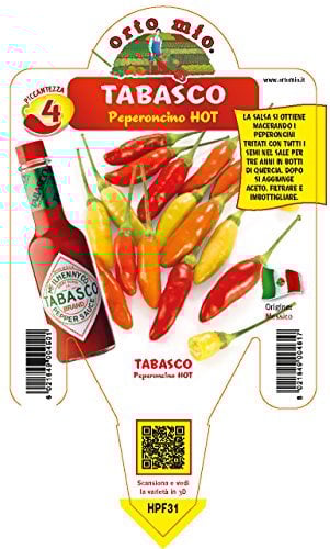 ORTOMIO Pianta Di Peperoncino Tabasco (in Vaso Ø 14cm