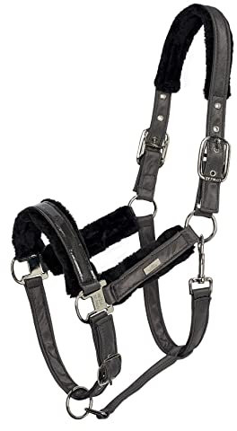 HV Polo Halfter HVPCecile Lack Iron, Größe:F/S