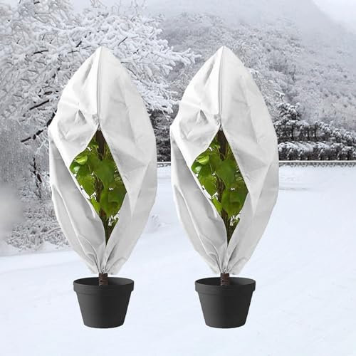 TAPT Winterschutz für Pflanzen, 2 Stück Winterschutz für Kübelpflanzen mit Reißverschluss und Zugband, Verdickte Faltbare Pflanzenschutz Winter für Obstbaum, Topfpflanzen, Palmen (100x120cm)