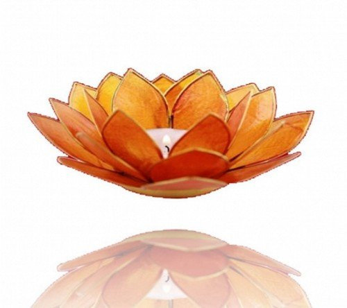 Lotus Teelichthalter Capiz-Muschel Rand gold - orange