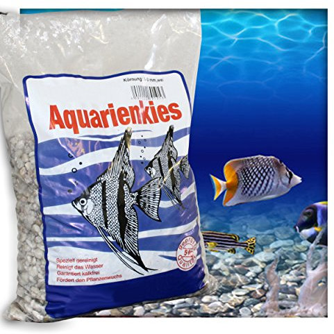 Kieskönig Aquariensand Aquariumsand Bodengrund 5-8 mm Aquarienkies hochrein Naturweiss 10 kg (2 x 5 kg Beutel)