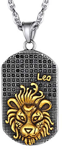 Richsteel Edelstahl Dog Tag Anhänger mit Sternzeichen Löwe Kette vergoldet Anhänger als Geburtstag Geschenke