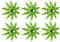 Wresetly Pack of 60 Green Tropical Coconut Palm Paper Umbrellas Varieties Parasols Cupcake Varieties for Hawaiian