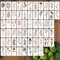 JSRQT 60Pcs Pochoirs de Fleurs Sauvages pour Peinture, Pochoirs Réutilisables en Plastique Feuilles Fleurs Stencils, Kit de Pochoirs de Peinture pour Dessin pour Bois Toile Verre Fabrication de Cartes